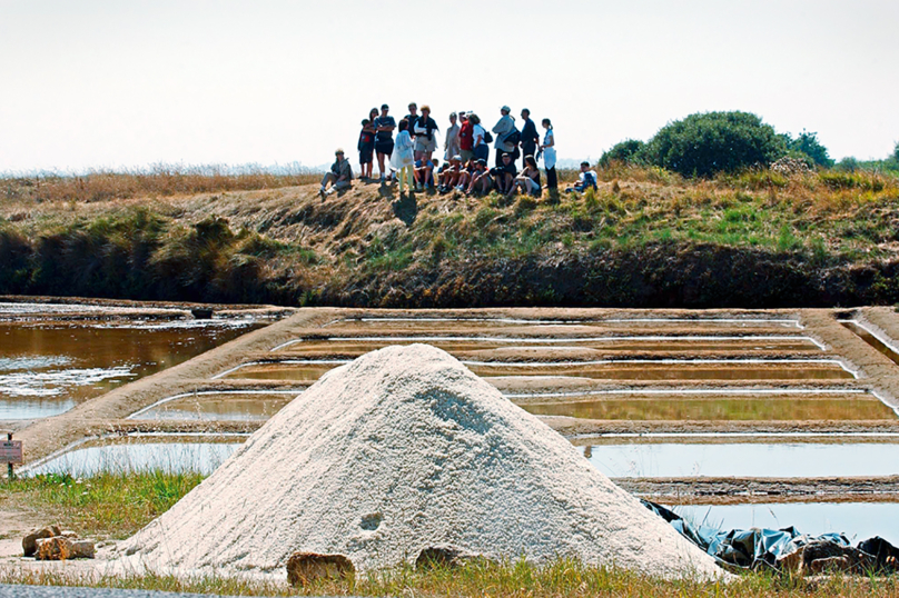 À Guérande, la fleur de sel au fusil