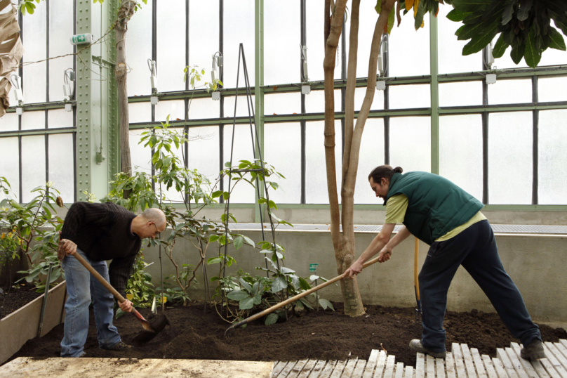 À gauche, se trouve un jardinet…