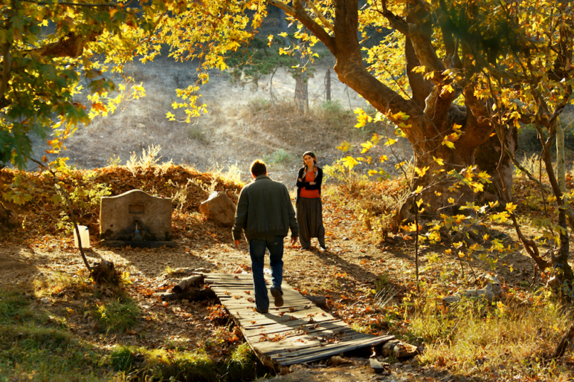 « Le Poirier sauvage », de Nuri Bilge Ceylan – « Un couteau dans le cœur », de Yann Gonzalez [Compétition] – Mon palmarès idéal