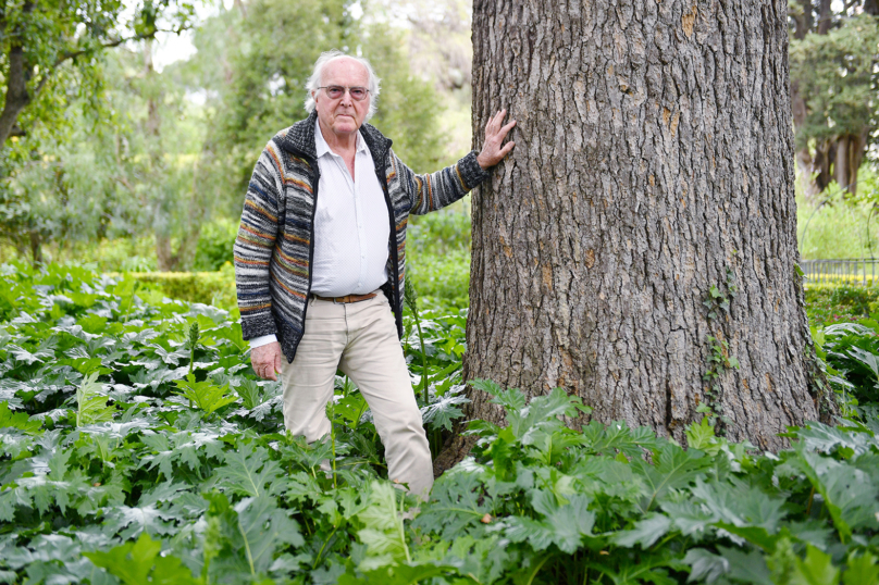 Francis Hallé : « J’ai longtemps dénié l’intelligence aux plantes »