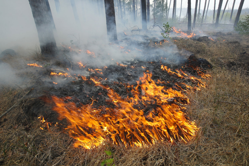 Pour les plaignants du Peoples Climate Case, un seul chiffre compte : 1,5°C