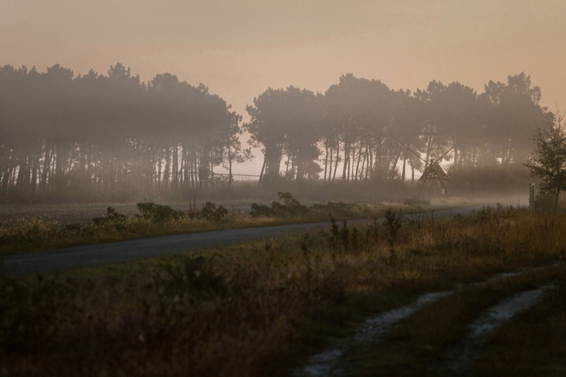 Les promesses de l’aube