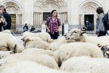 Travailler dans une association est-il émancipateur ?