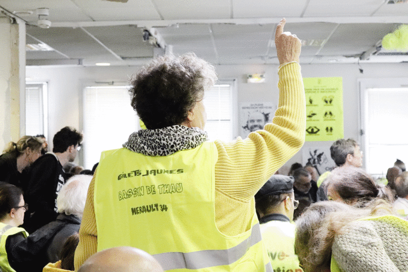 Les gilets jaunes se mettent au vert