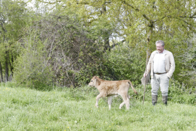 Traiter moins pour gagner plus