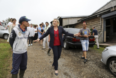 Le Pen entre en guerre contre « la pollution éolienne »