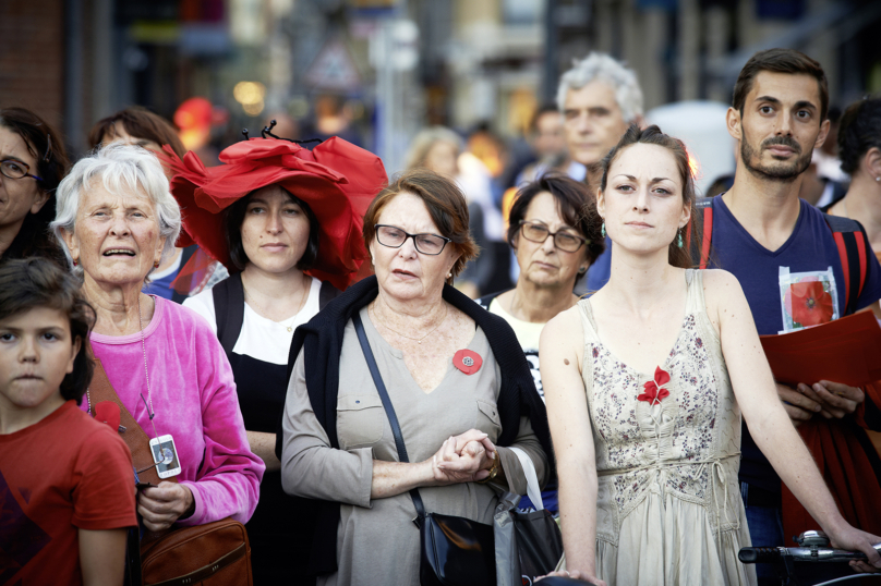 Les coquelicots s’enracinent