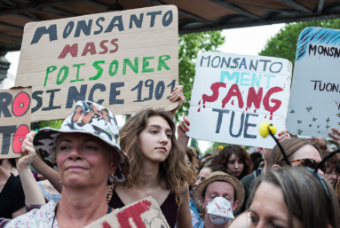 Cinq raisons de marcher contre les pesticides