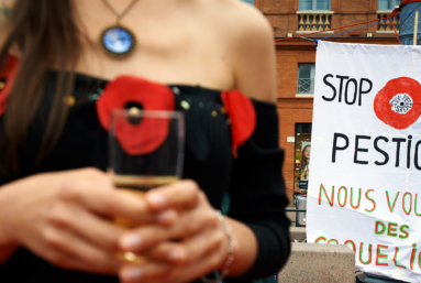 Nantes aussi veut des coquelicots