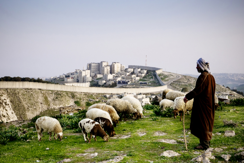 Mémoires vivantes de Palestine