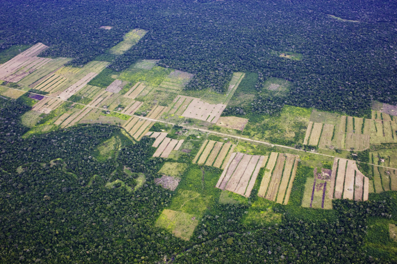 Amazonie : Les enfumeurs de la déforestation