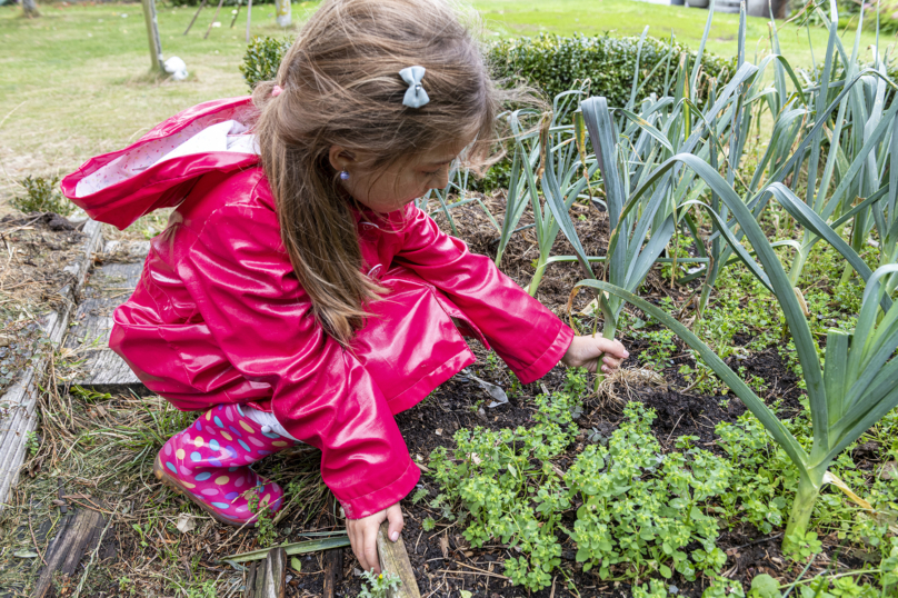 Le retour fulgurant du jardinage en France