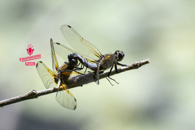 Biodiversité : les sciences participatives peuvent-elles changer notre rapport à la nature ?