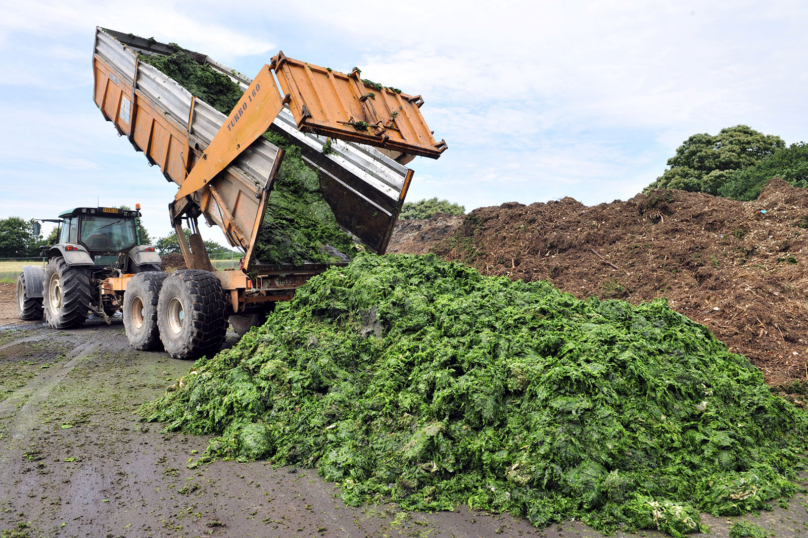 Appel pour informer librement sur l’industrie agroalimentaire bretonne