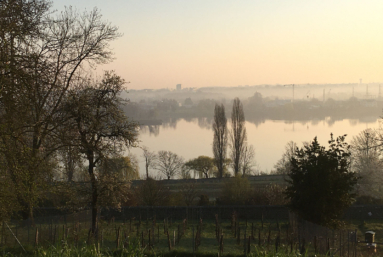 Eaux troubles dans les lacs d’Essonne