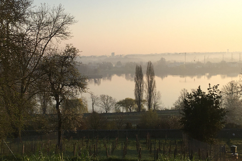 Eaux troubles dans les lacs d’Essonne