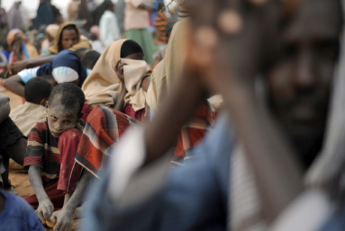 La parole aux scientifiques : Déplacés et migrants climatiques