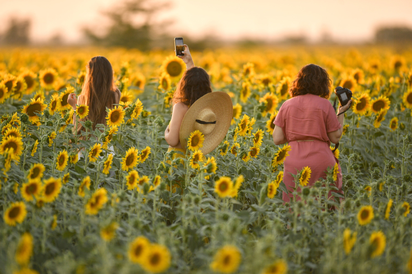 « L’écoféminisme vise une transformation sociale et personnelle »