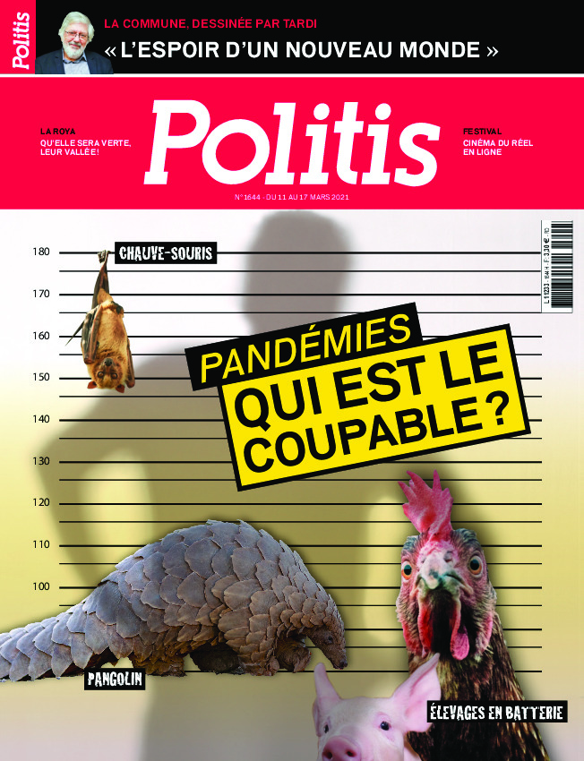 Pandémies : Qui est le coupable ?