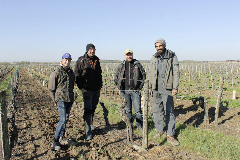 La solidarité primeur des vignerons