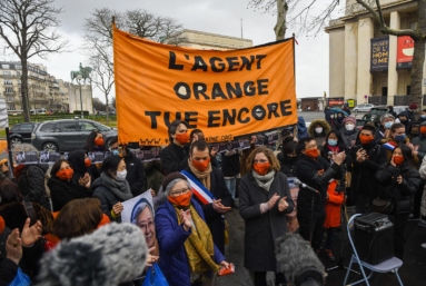 Agent orange : la plainte de Tran To Nga jugée irrecevable