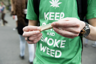 Caroline Janvier : « Les gens qui connaissent le sujet sont pour la légalisation du cannabis »