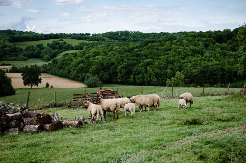 [PODCAST]Le gouvernement veut-il en finir avec l’agriculture bio ?