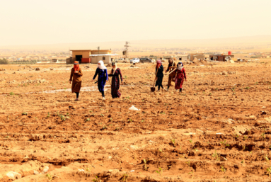 Dans le Nord-Est syrien, la guerre de la soif
