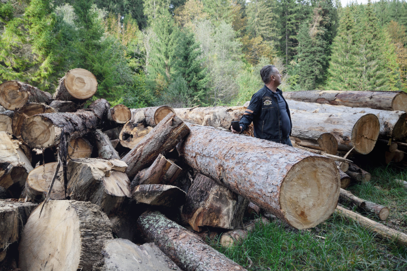 À l’ombre des forêts roumaines, la corruption