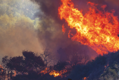 L’appel de Politis pour le climat : « Votre inaction est un crime ! »