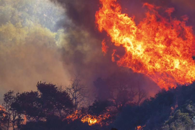 L’appel de Politis pour le climat : « Votre inaction est un crime ! »