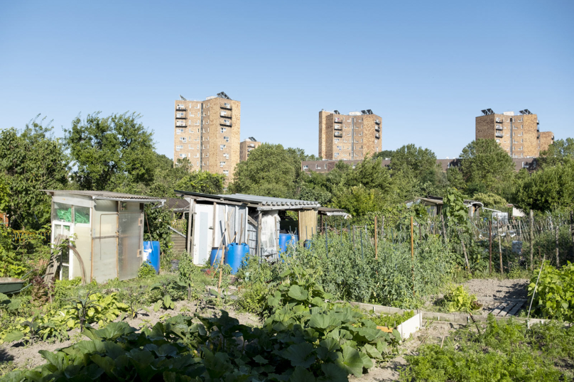 Les jardins familiaux sont des trésors d’humanité et doivent être considérés comme tels !