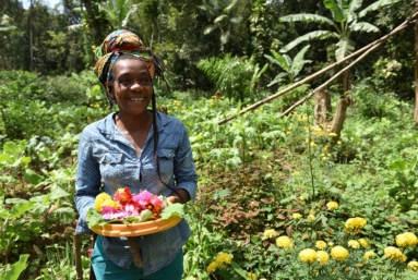 Élections au Brésil : Campinho, le quilombo gardien de la forêt