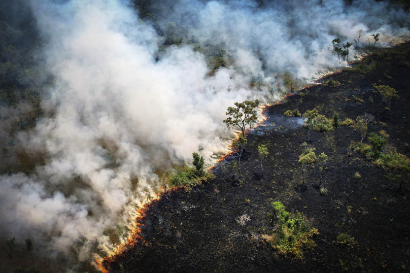 La photo de la semaine : ligne de feu en Amazonie