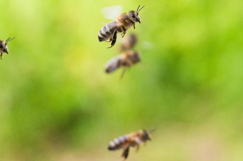 Un million de signatures européennes pour en finir avec les pesticides