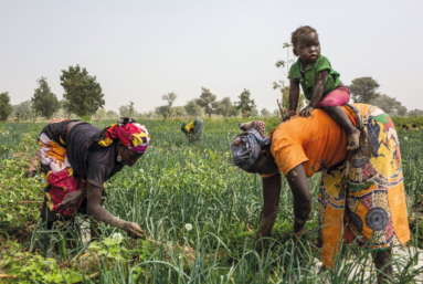 Vers une Afrique plus verte et plus souveraine