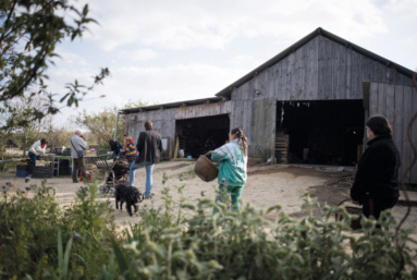 Renouer avec la fonction sociale de l’agriculture