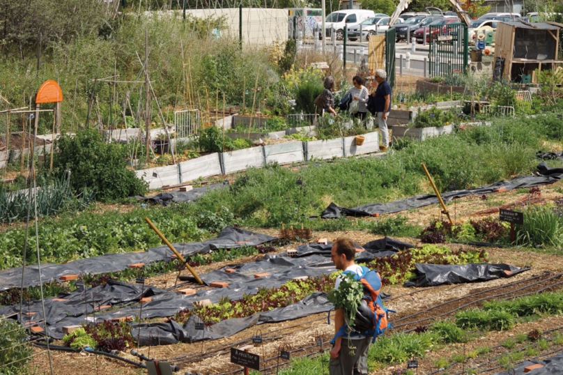 « Les jardins participent à l’émancipation globale des individus »