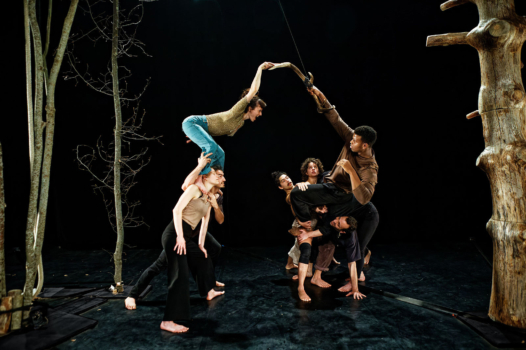 « Brame » : le grand cirque de l’amour