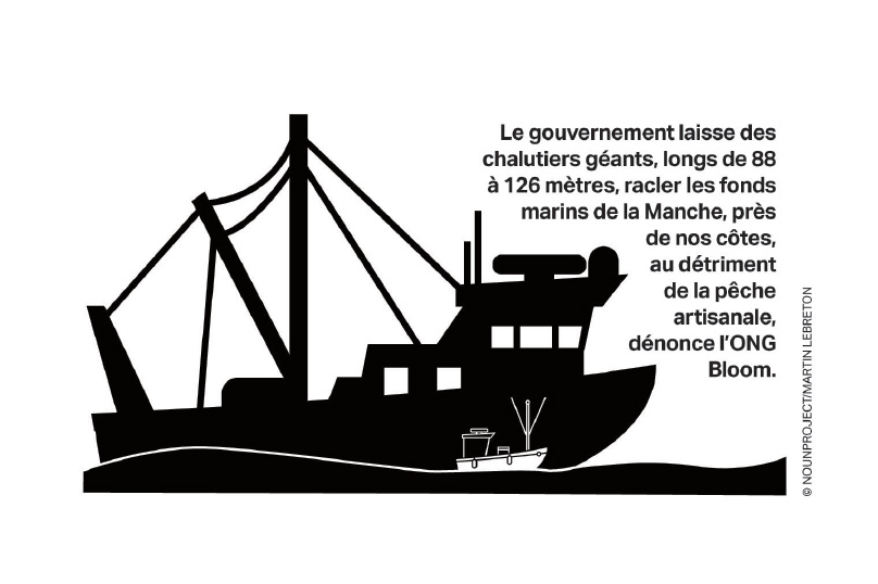 Des chalutiers géants qui pillent les fonds de la Manche