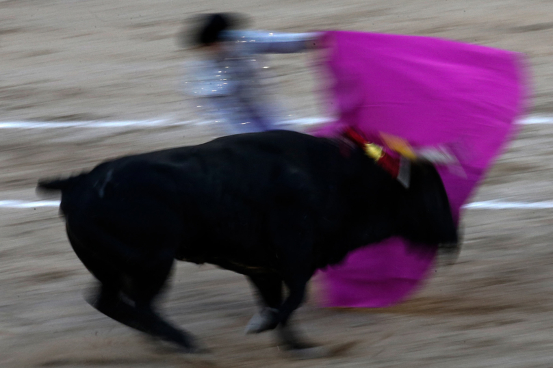 La corrida, une question politique