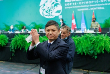 COP15 : un accord ambitieux… sur le papier