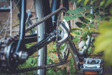 Scènes de chasse dans le Lot au temps du covid (sous la plume d’un cycliste impénitent)