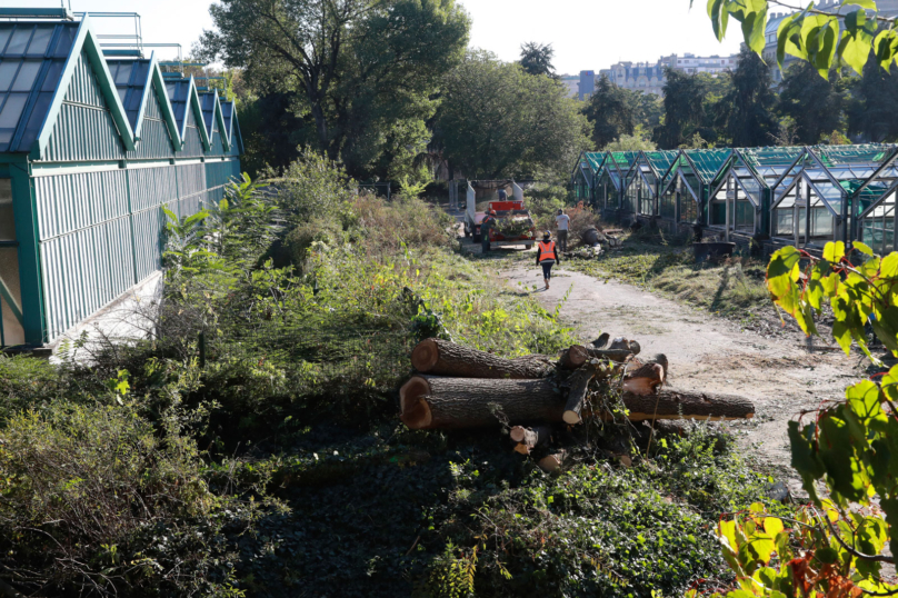 28 janvier : Marche pour les arbres et le vivant, à Montreuil et à Bagnolet