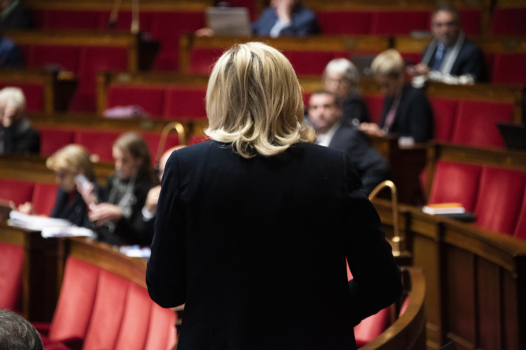 Retraites : ce que prône vraiment le Rassemblement national