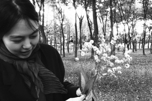 « La Romancière, le film et le heureux hasard » : éloge du désir et de la légèreté