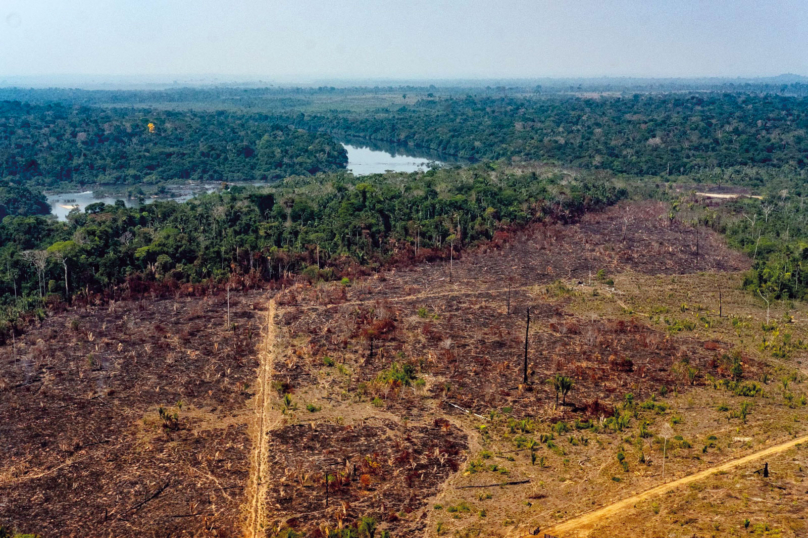 La déforestation de l’Amazonie en recul