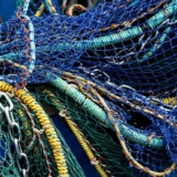 La Grèce interdit la pêche au chalut