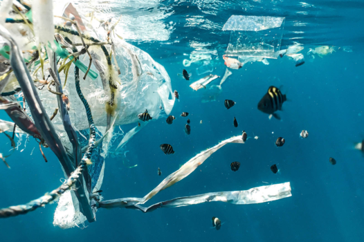 Les sources de pollution plastique sont infinies, mais les solutions aussi !