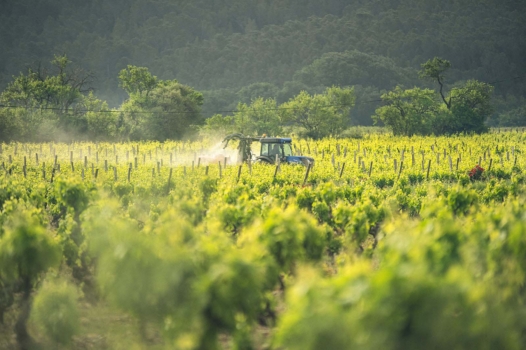 Pesticides : le grand détricotage